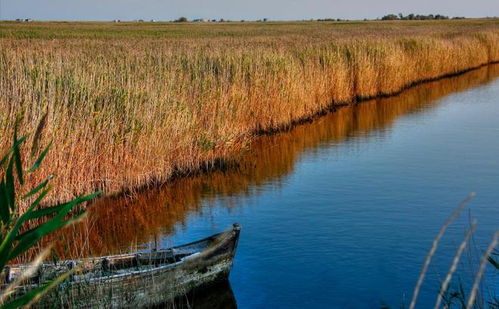 星象與現(xiàn)實(shí) 獅子座的熾熱之愛(ài)與治水之路